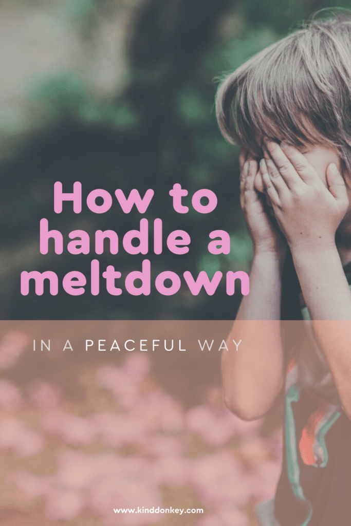 How to handle a meltdown in a peaceful way